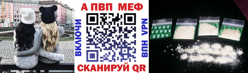 Купить Новая Ладога Alfa_PVP СК КРИС