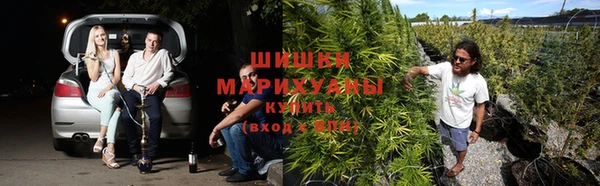 тгк Заволжье