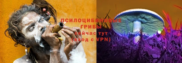 мяу мяу мука Заволжск