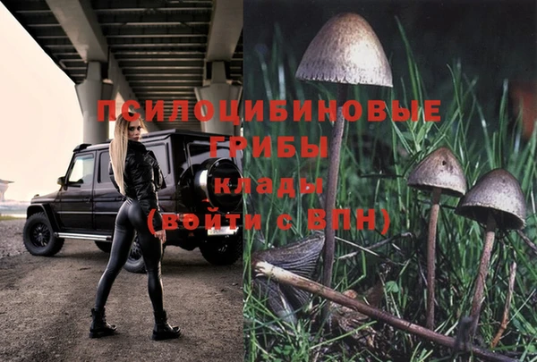тгк Заволжье